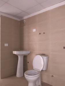 Common Bathroom Image of 1400 Sq.ft 3 BHK Apartment / Flat for sale in Terrace Homes, Noida Extension Greater Noida for Rs. 10840000