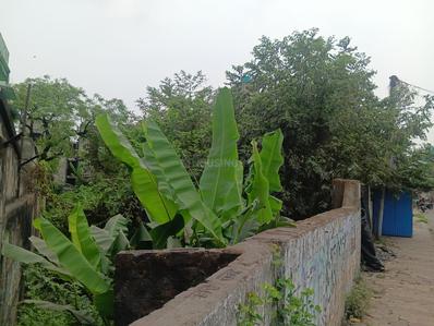 Sector 2 Plot View 1