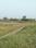 AMBIKA GARDEN RUGRIDIH CHOTA GOVINDPUR Plot View 2