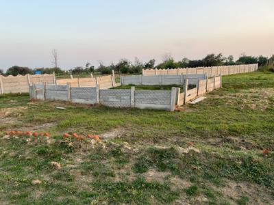 ROYAL CITY JEWAR FARM LAND Plot View 2
