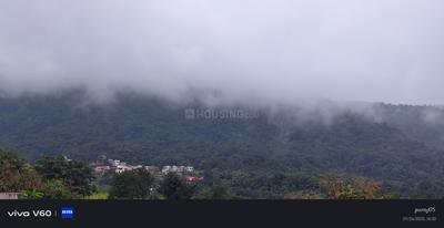 Neral Plot View 1