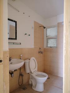 Common Bathroom Image of 953 Sq.ft 3 BHK Apartment / Flat for rent in Jaypee Aman, Aurangabad Noida for Rs. 17499