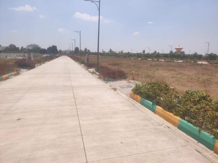 Thyme Park Main Image 1