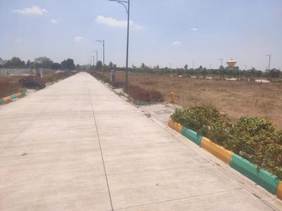 Thyme Park Plot View 1