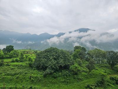 Image of 1490 Sq.ft 2 BHK Apartment / Flat for sale in Pacific Golf Estate, Kulhan, Dehradun for Rs. 17500000