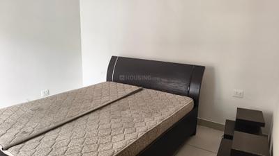 Bedroom Image of 900 Sq.ft 2 BHK Apartment / Flat for rent in Supertech The Romano, Sector 118 Noida for Rs. 30001