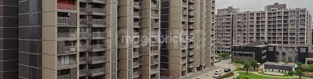 Apollo DB City Main Image 1