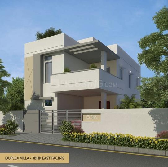 Mahidara luxuria Main Image 1