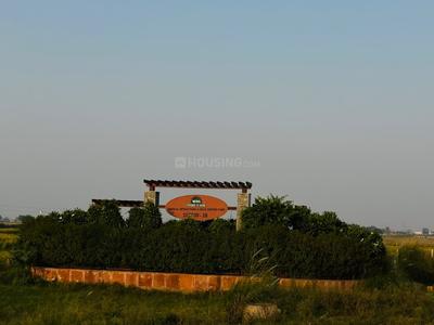 Residential Plot