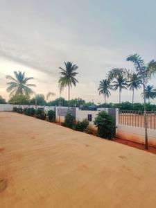Residential Plot