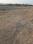 Sandor Main Image 1