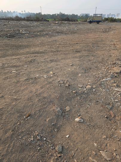 Sandor Main Image 1