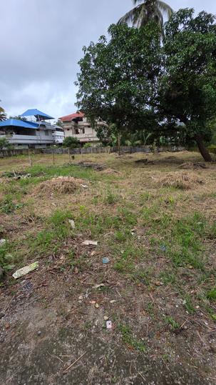 Thrippunithura Main Image 1