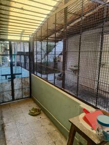 Balcony Image of 1200 Sq.ft 3 BHK Duplex for sale in Akota Vadodara for Rs. 7800000