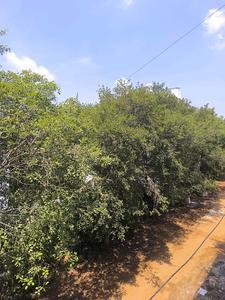 Bedroom Four Image of 3150 Sq.ft 5 BHK Apartment / Flat for sale in Vajarahalli Bengaluru for Rs. 29000000
