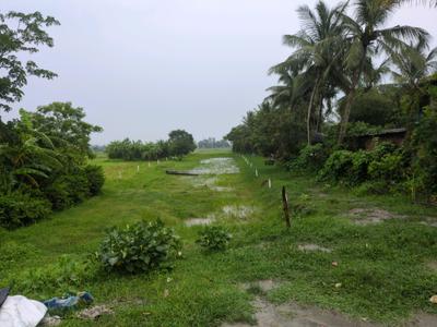Golden city 2 plot Plot View 2
