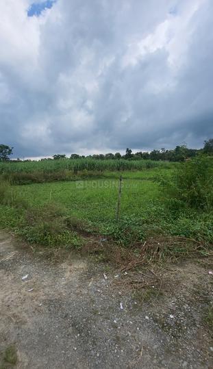 shimla bypass road sabhawala Main Image 1