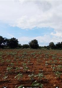 Image of 1440 Sq.ft Residential Plot / Land for sale in Sangareddy Town, Sangareddy for Rs. 7500000
