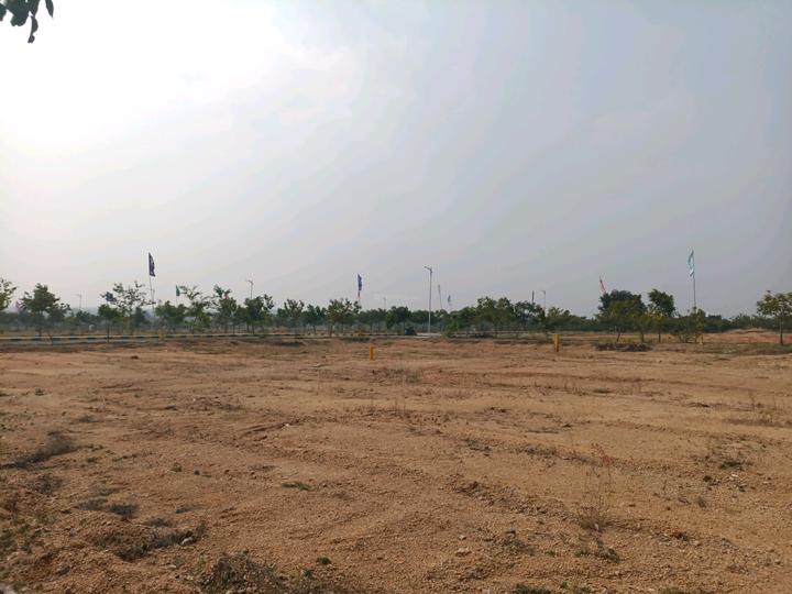 SLN Mango Groove Main Image 1