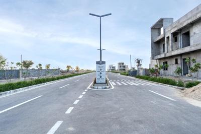 Phagi Plot View 1