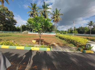 Residential Plot