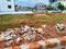 Lingipur Main Image 1