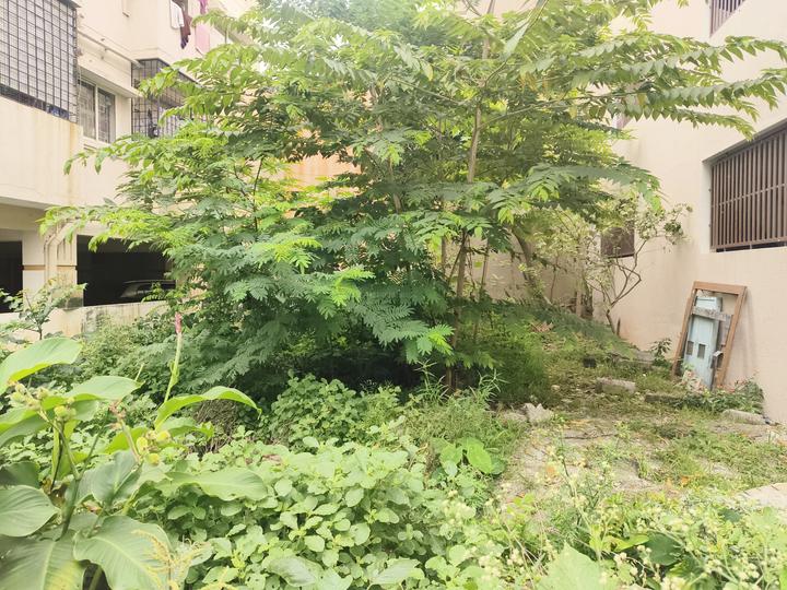 Kanaka Nagar, Hebbal Main Image 1