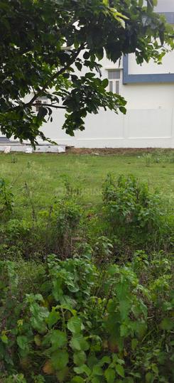 Shamanur Main Image 1