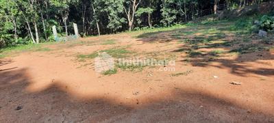Alathur Plot View 1