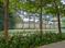 SNN Raj Greenbay Main Image 1