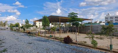 Residential Plot