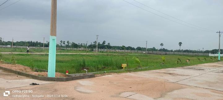 padmanabham Main Image 1