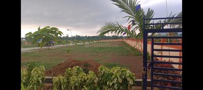 Residential Plot