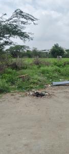 Image of 1225 Sq.ft Residential Plot / Land for sale in Bapu Nagar, Bhilwara for Rs. 5600000