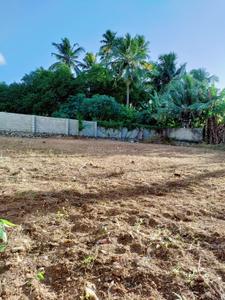 Kaimanam Plot View 2