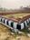 Omega Suraksha Enclave Phase 1 Main Image 1