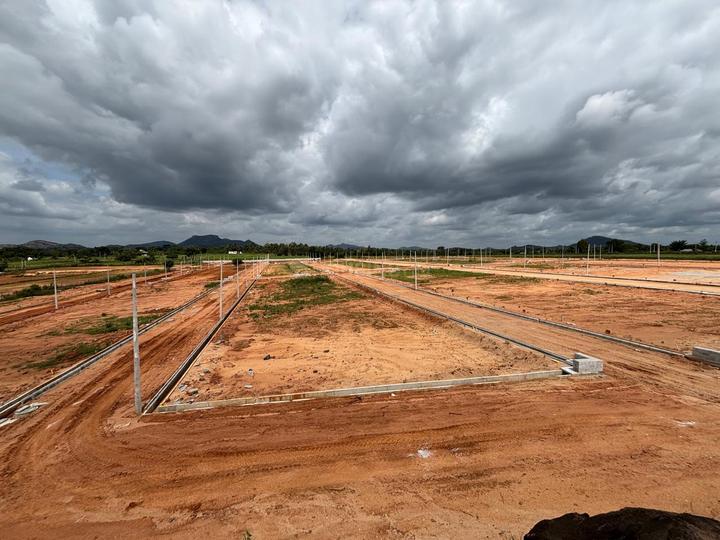 Dobbsapet Main Image 1