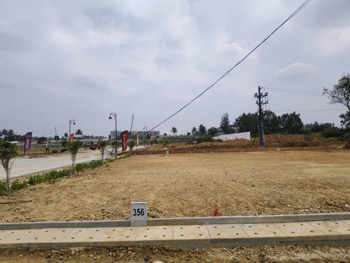 Ruby Sizzle Heritage Main Image 1