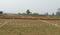 Bihta Main Image 1