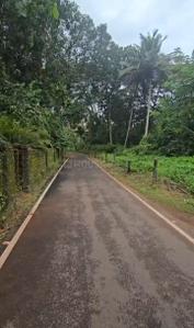 Image of 1483 Sq.ft Residential Plot / Land for sale in Velsao, Mormugao for Rs. 50500000