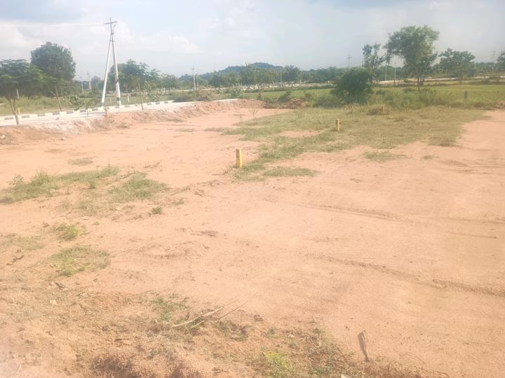 Shadnagar Plot View 1