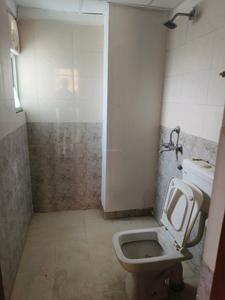 Common Bathroom Image of 700 Sq.ft 3 BHK Apartment / Flat for sale in ROF Amaltas, Sector 92 Gurgaon for Rs. 7500000