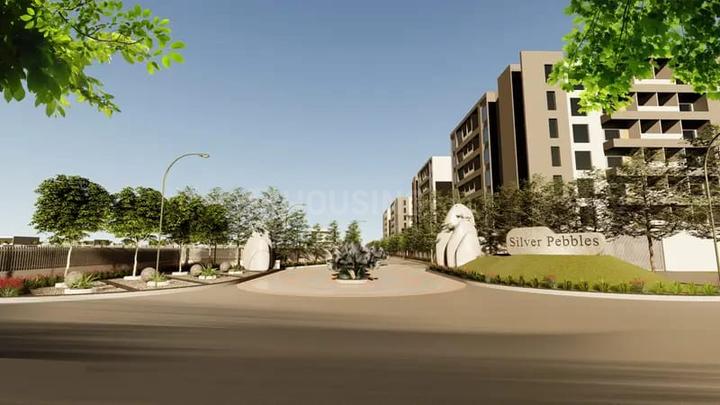 Silver Pebbles Main Image 1