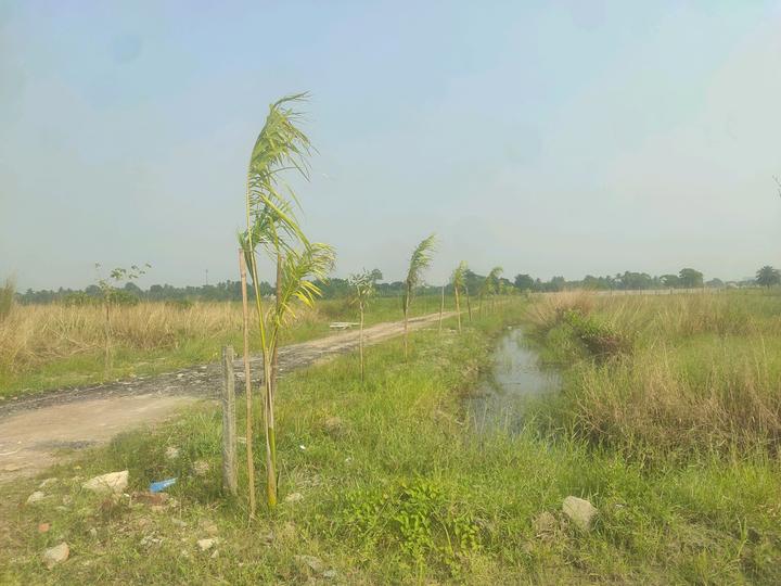 Metroplex City Main Image 1