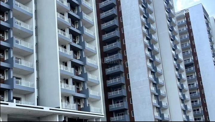 IRA Miracle Main Image 1