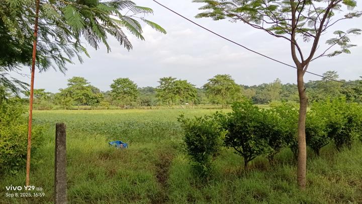 Chatrasal Nagar, Sector B Main Image 1