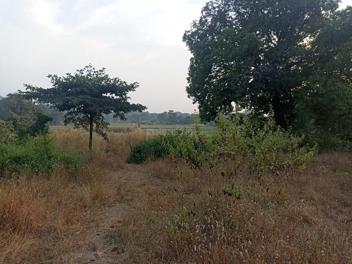 Bherav Main Image 1