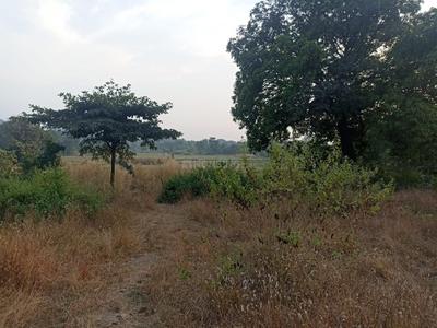 Image of 1089 Sq.ft Residential Plot / Land for sale in Ghera Sudhagad, Raigad for Rs. 200000