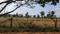 Devanahalli Plot View 2