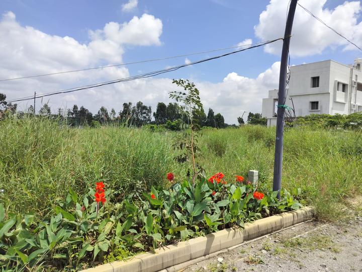 APPLE CITY Main Image 1